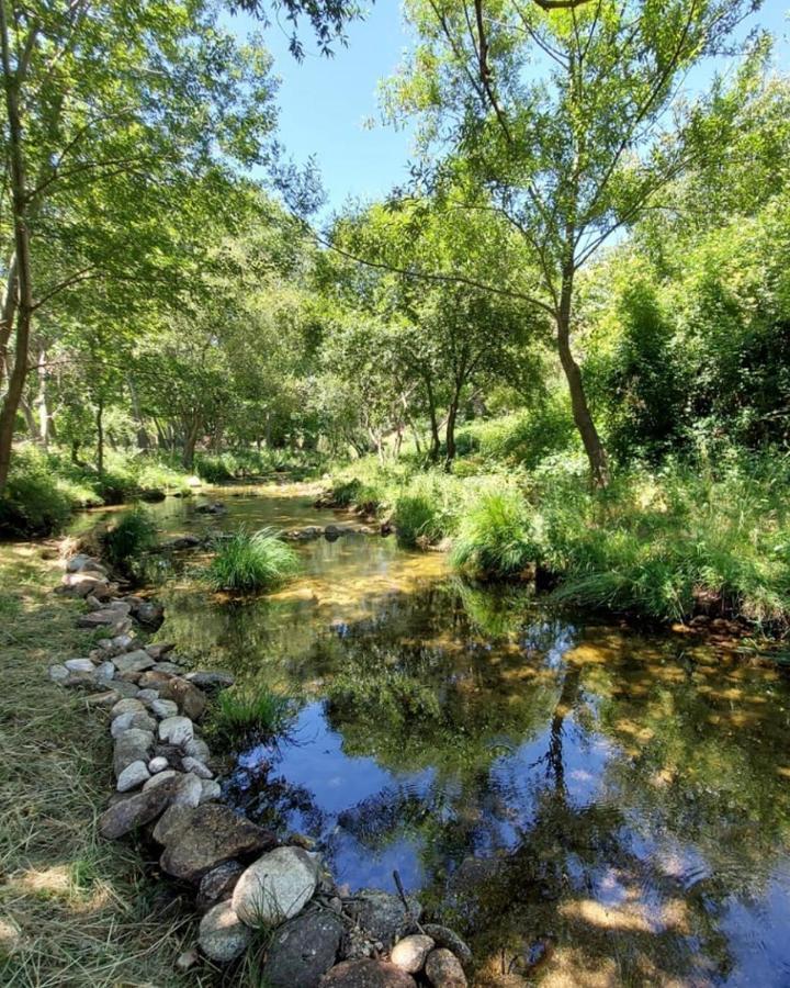 Hotel Ribera Del Corneja Navacepedilla de Corneja Eksteriør bilde