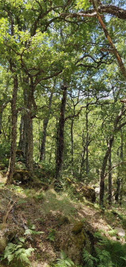 Hotel Ribera Del Corneja Navacepedilla de Corneja Eksteriør bilde